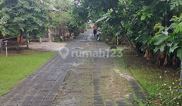 Tanah Jual Lokasi Penatih Tanah Jual Lokasi Penatih