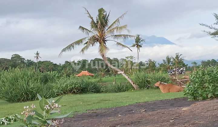 Land For Sale Located in Saba Land For Sale Located in Saba