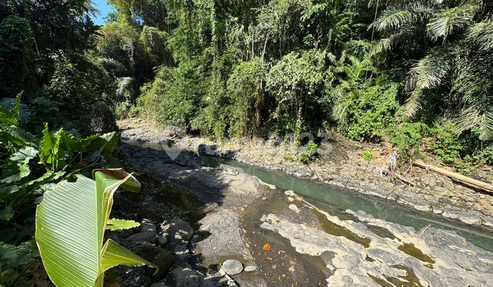 Tanah Jual Lokasi Nyanyi Tanah Jual Lokasi Nyanyi