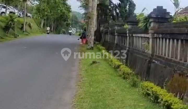 Land For Sale Location Bedugul Land For Sale Location Bedugul