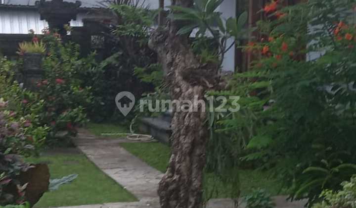 Villa Jual Lokasi Denpasar Timur Villa Jual Lokasi Denpasar Timur