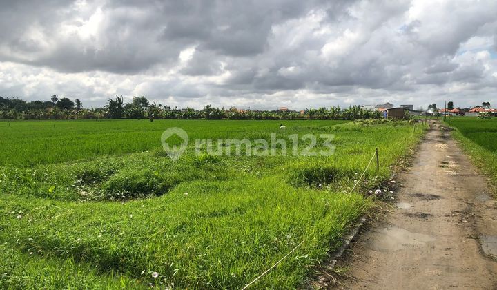 Tanah Jual Lokasi Kerobokan