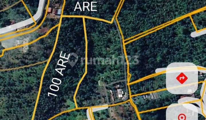 Land For Sale Location Gesing Land For Sale Location Gesing