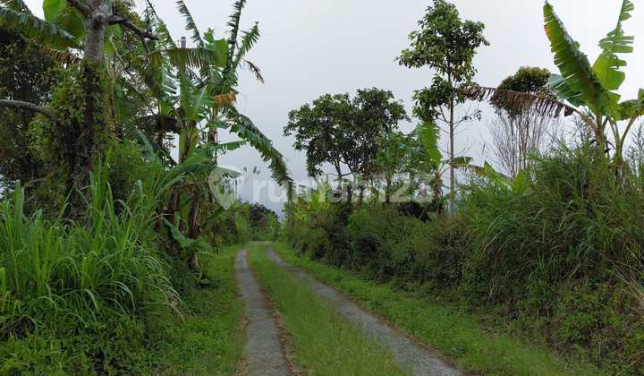 Land for Sale Location Wanagiri Land for Sale Location Wanagiri