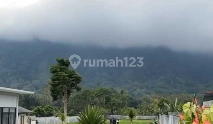 Land for Sale Location Bedugul Land for Sale Location Bedugul