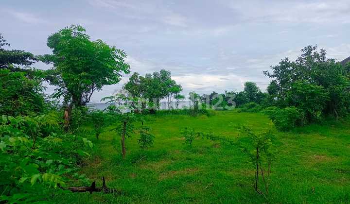 Tanah Jual Lokasi Lovina Tanah Jual Lokasi Lovina