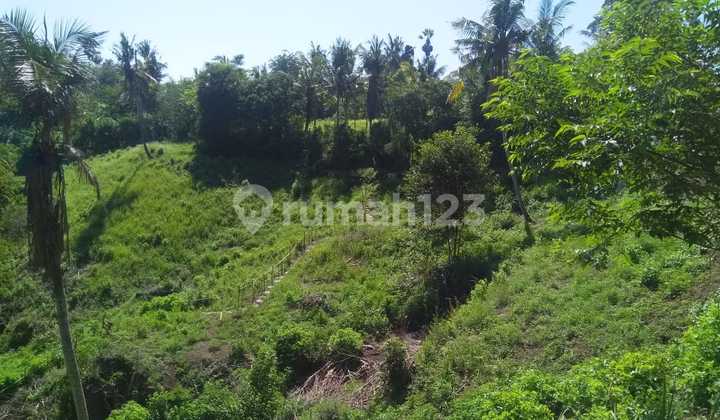 Land for Sale in Abang Location Land for Sale in Abang Location