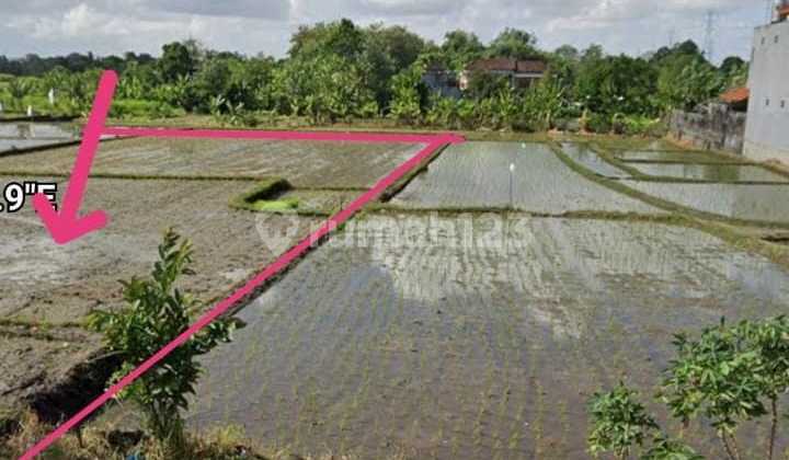 Tanah Jual Lokasi Kedungu Tanah Jual Lokasi Kedungu