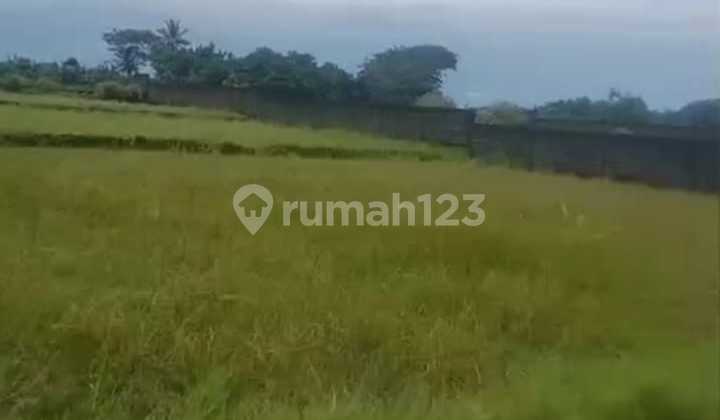 Tanah Jual Lokasi Pangayangan