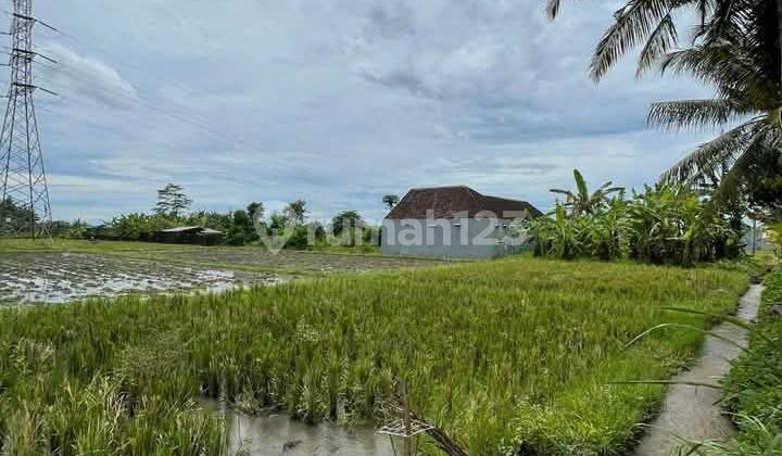 Land for Sale in Baha Location