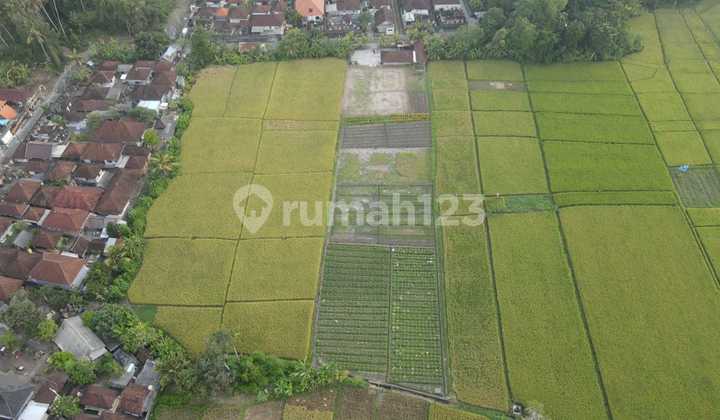 Land for Sale, Kelating Location