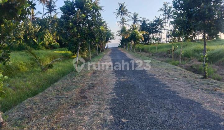 Land for Sale Kedungu Location