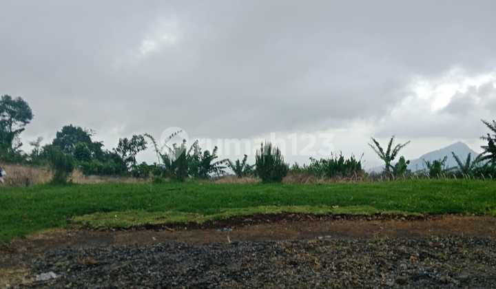 Land for Sale, Wanagiri Location Land for Sale, Wanagiri Location