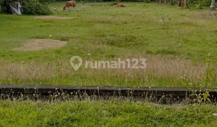 Tanah Jual Lokasi Cupel Tanah Jual Lokasi Cupel
