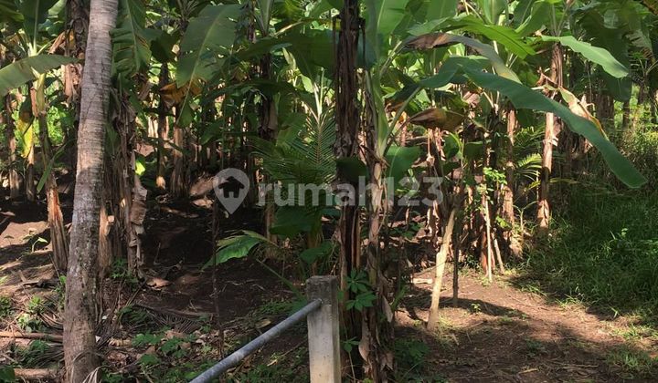 Tanah Jual Lokasi Singapadu