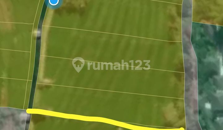 Tanah Jual Lokasi Nyanyi