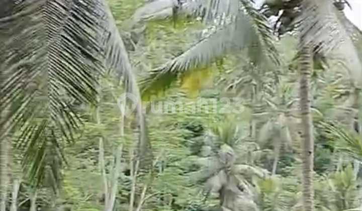 Tanah Jual Lokasi Samplangan