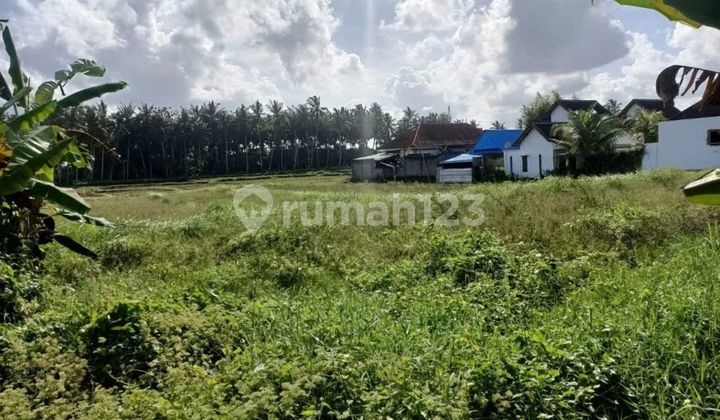 Land for Sale Location Kemenuh