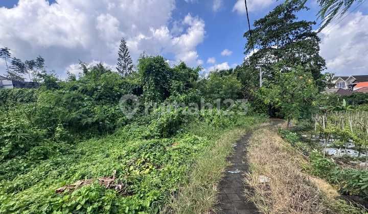 Land for Sale Location Canggu