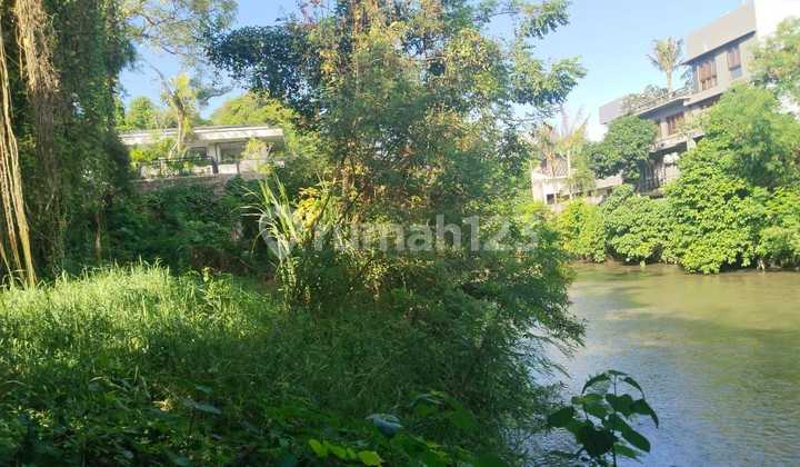 Land For Sale Location Padang Galak