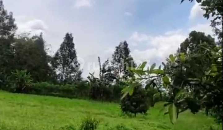 Tanah Jual Lokasi Baturiti Tanah Jual Lokasi Baturiti