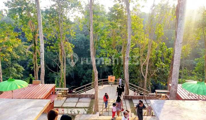 Tanah Jual Lokasi Sangeh