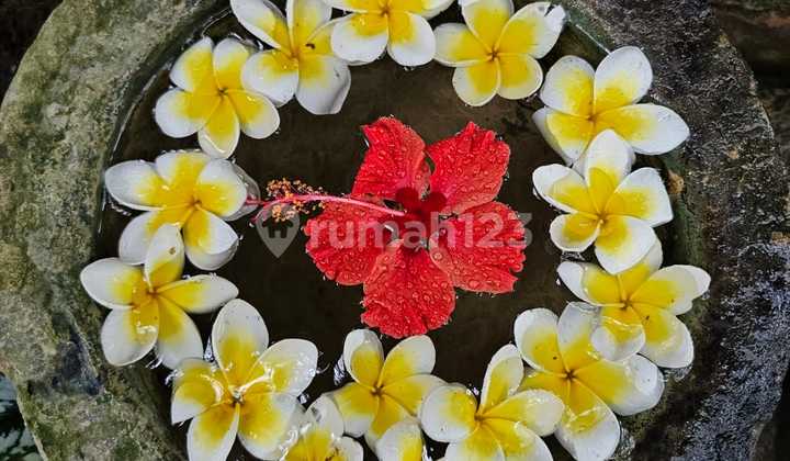 Villa For Sale in Amed 2