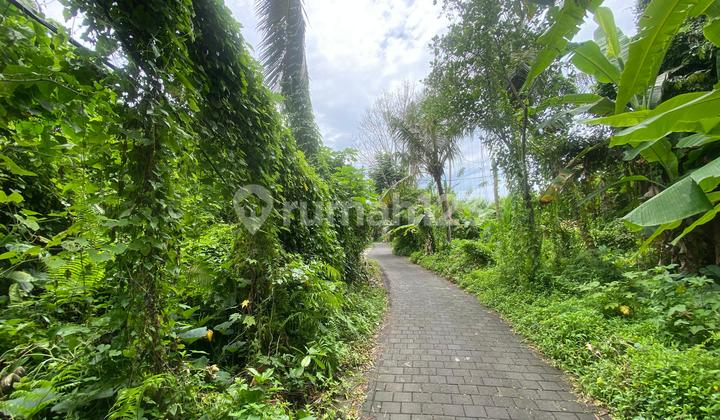 Tanah Jual Lokasi Mas