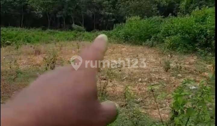 Tanah Jual Lokasi Nusa Dua Tanah Jual Lokasi Nusa Dua