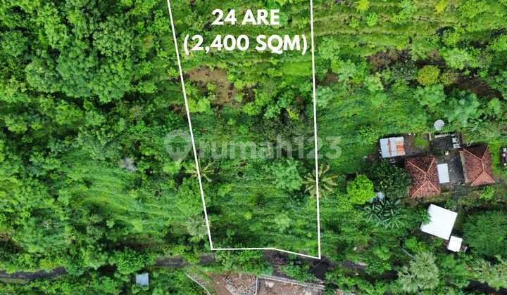 Land for Sale in Amed Location Land for Sale in Amed Location
