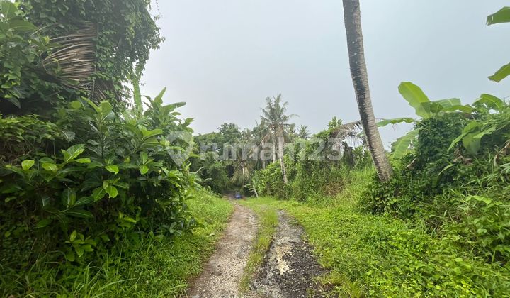 Tanah Jual Lokasi Kaba Kaba Tanah Jual Lokasi Kaba Kaba