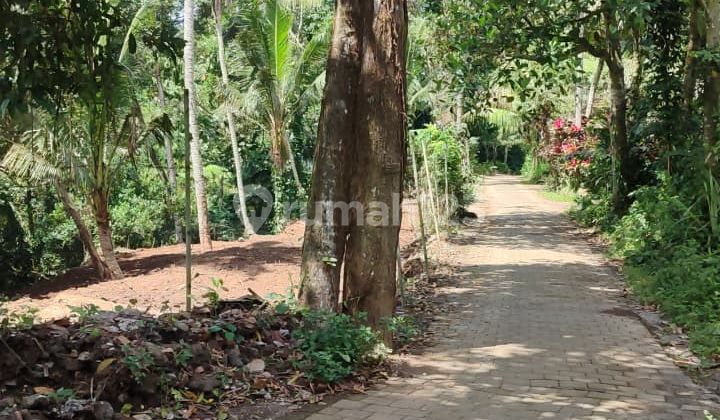Land for Sale Location Sayan