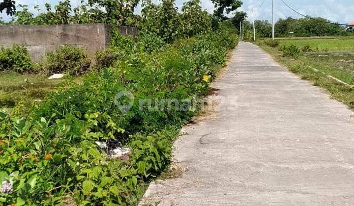 Tanah Jual Lokasi Pengambengan Tanah Jual Lokasi Pengambengan