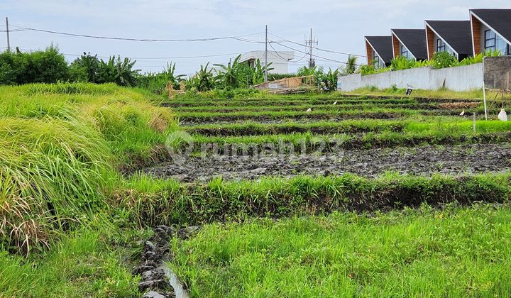 Tanah Jual Lokasi Seseh