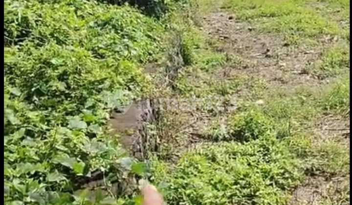 Tanah Jual Lokasi Buwit