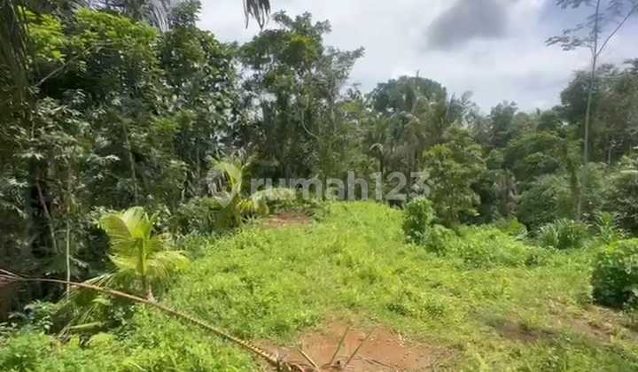 Tanah Jual Lokasi Tegallalang