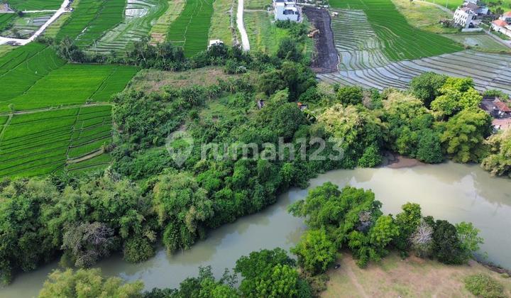 Land for Sale Cemagi Location