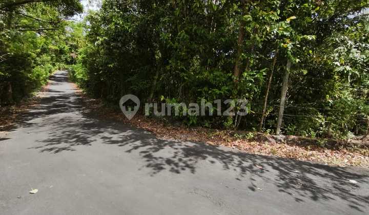 Tanah Jual Lokasi Pecatu Tanah Jual Lokasi Pecatu