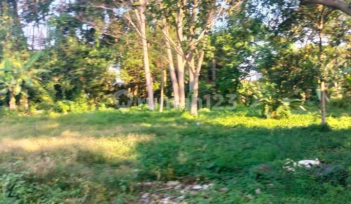 Land for Sale Location Kemenuh