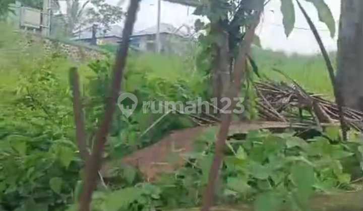 Land for Sale Located in Meliling