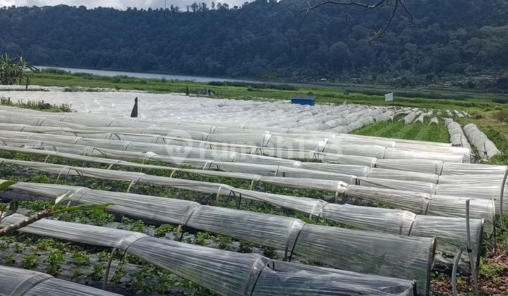 Tanah Jual Lokasi Dasong Tanah Jual Lokasi Dasong