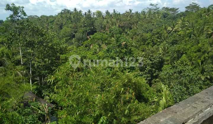 Villa Jual Lokasi Ubud