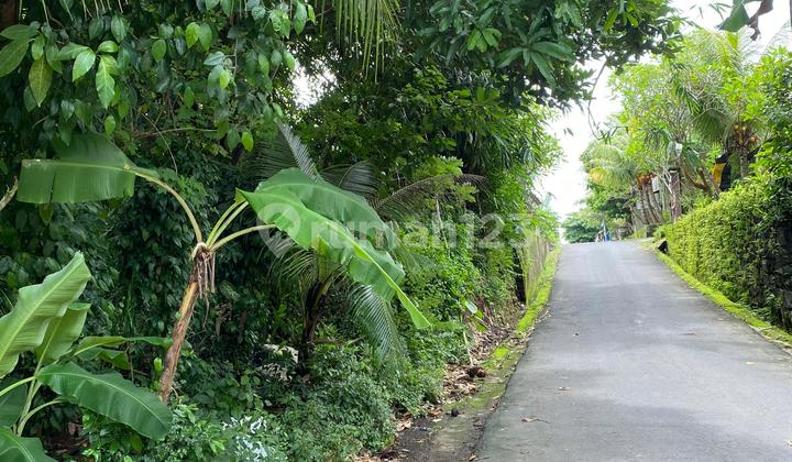 Land For Sale Batu Bulan Location