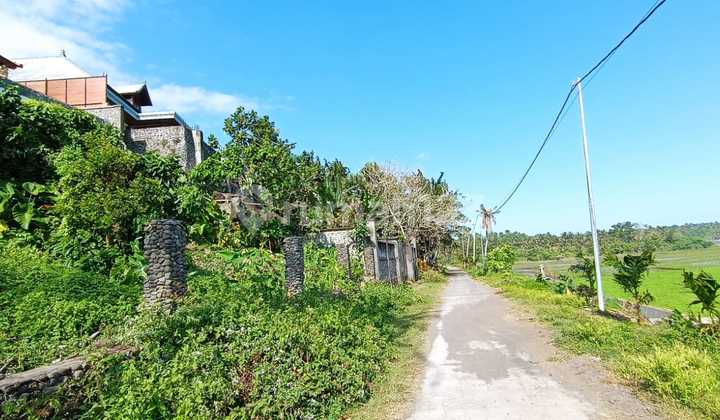 Tanah Jual Lokasi Pulukan