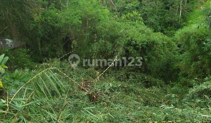 Land for Sale Location Pejeng Land for Sale Location Pejeng