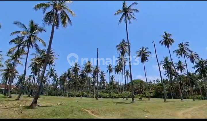 Land for Sale Location Antap Land for Sale Location Antap