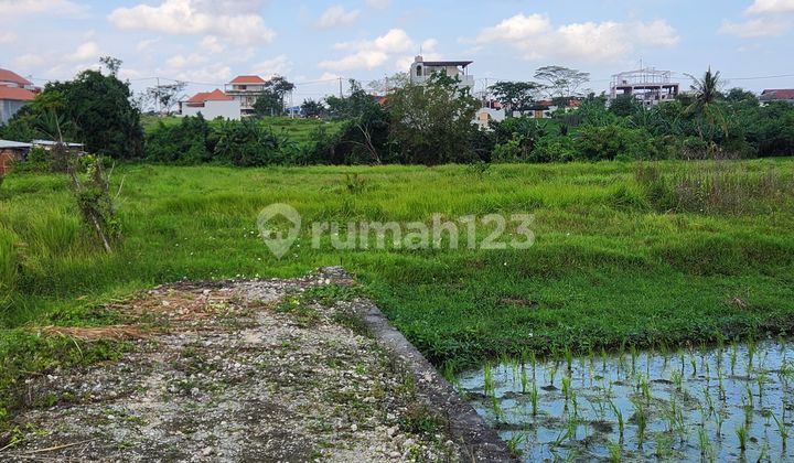Tanah Jual Lokasi Seseh