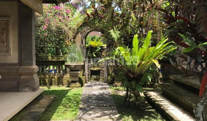 Tanah Jual Lokasi Ubud