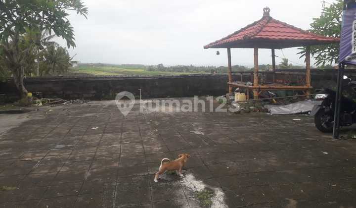 Land For Sale Klecung Location