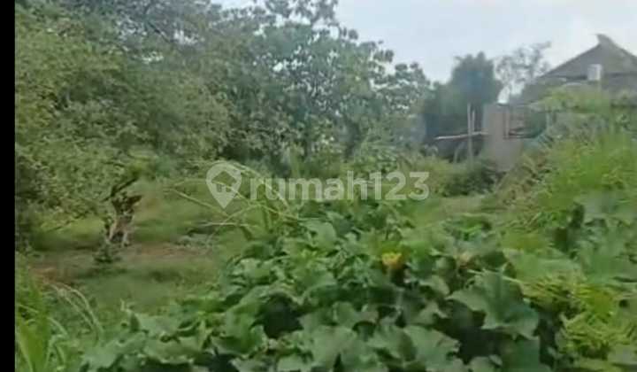 Land for Sale Location Nusa Dua